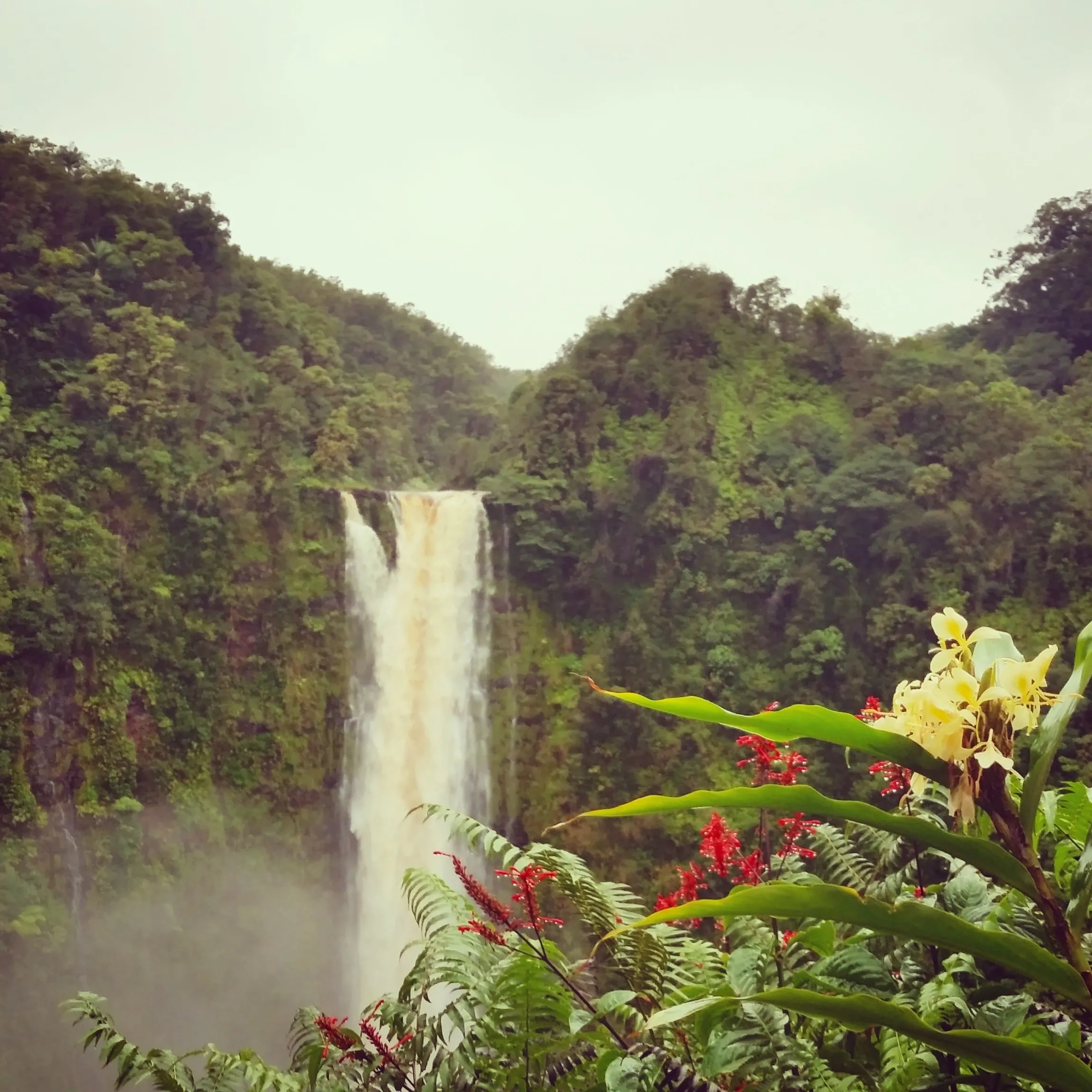 Nature & Adventure